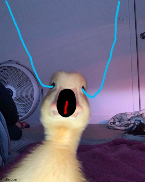 shitposting | image tagged in shitposting,snowflake | made w/ Imgflip meme maker