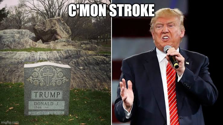 C'mon Sroke | C'MON STROKE | image tagged in donald trump | made w/ Imgflip meme maker