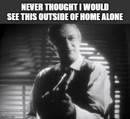 Renee Good RIP | NEVER THOUGHT I WOULD SEE THIS OUTSIDE OF HOME ALONE | image tagged in rip | made w/ Imgflip meme maker