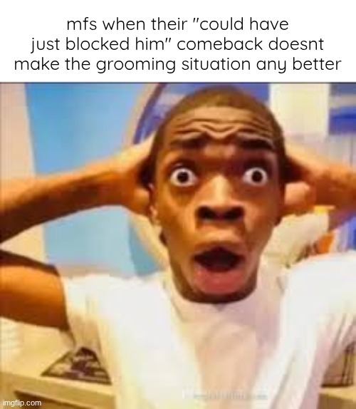 just cause you could block people doesn't mean their not a groomer | mfs when their "could have just blocked him" comeback doesnt make the grooming situation any better | image tagged in no way face shocked black guy | made w/ Imgflip meme maker