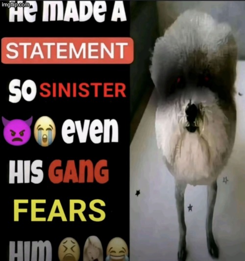 he made a statement so sinister even his gang fears him | image tagged in he made a statement so sinister even his gang fears him | made w/ Imgflip meme maker