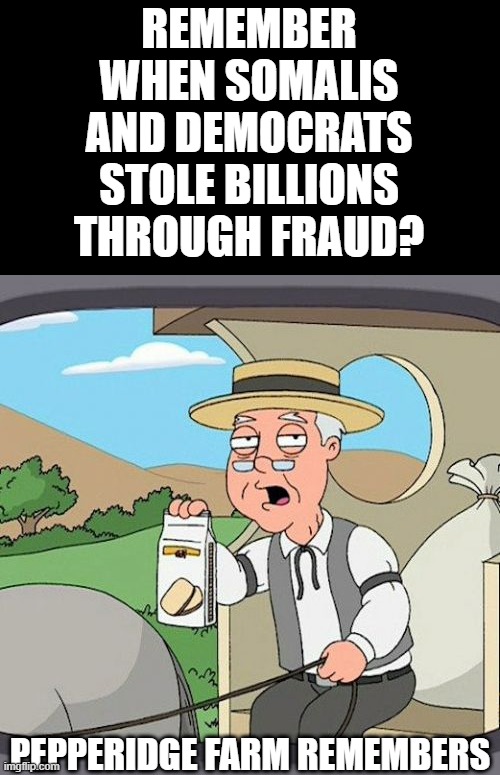 Pepperidge Farm Remembers Meme | REMEMBER WHEN SOMALIS AND DEMOCRATS STOLE BILLIONS THROUGH FRAUD? PEPPERIDGE FARM REMEMBERS | image tagged in memes,pepperidge farm remembers | made w/ Imgflip meme maker