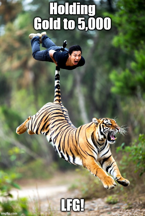 hanging onto a tigers tail | Holding Gold to 5,000; LFG! | image tagged in trade | made w/ Imgflip meme maker