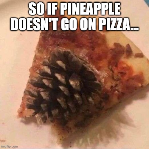 Pine Cone Pizza | SO IF PINEAPPLE DOESN'T GO ON PIZZA... | image tagged in cursed image | made w/ Imgflip meme maker