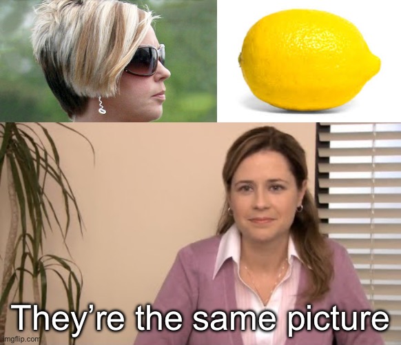 When life gives you Karens | They’re the same picture | image tagged in karen,when life gives you lemons x,they're the same picture | made w/ Imgflip meme maker