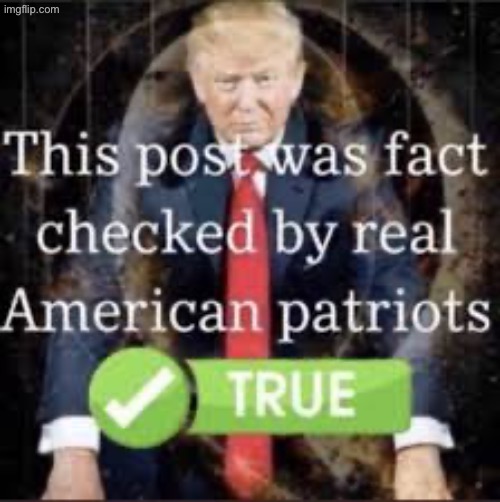 This post was fact-checked by real American patriots. | image tagged in this post was fact-checked by real american patriots | made w/ Imgflip meme maker