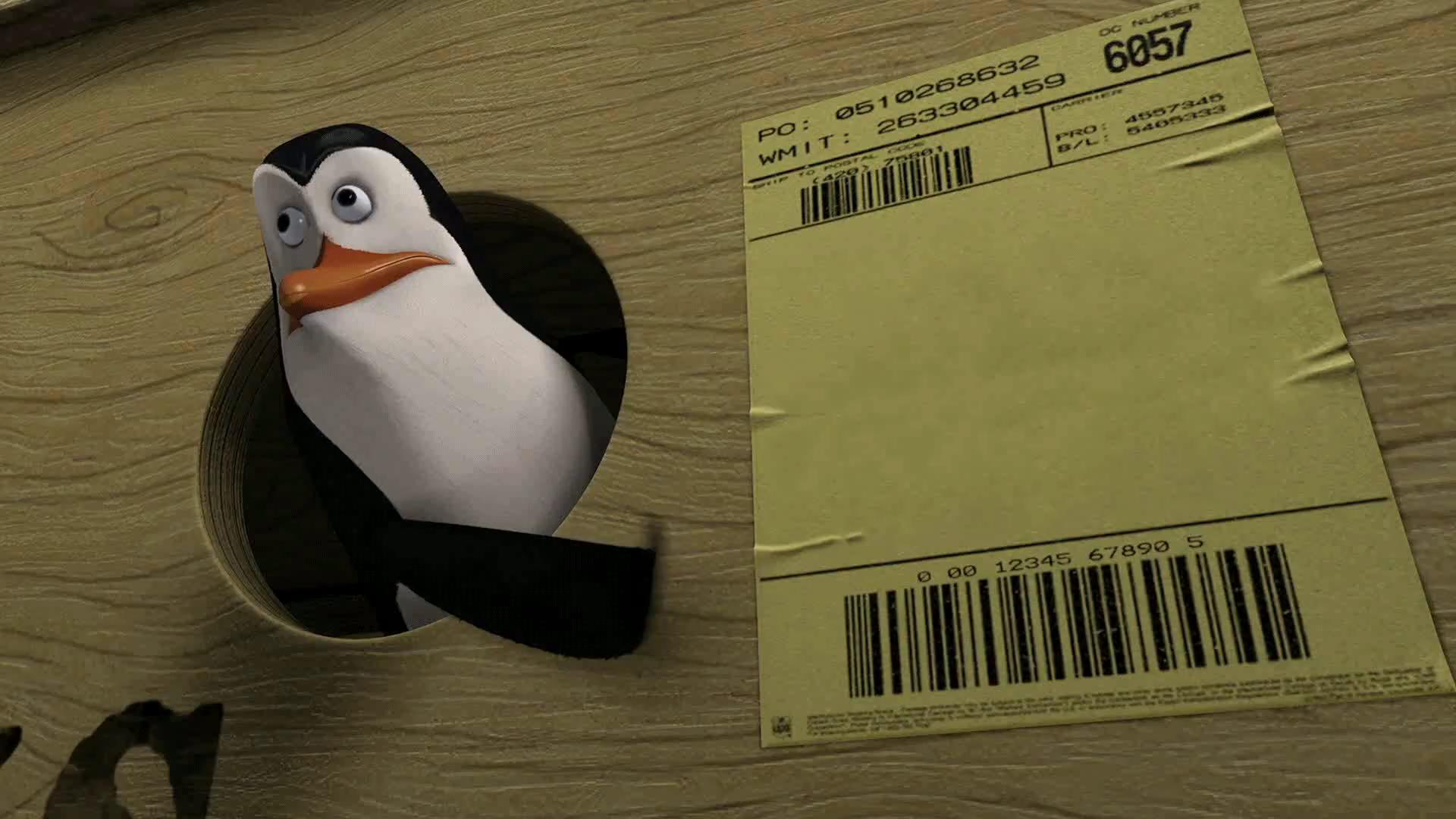 Penguin Point Shipping Label Blank Meme Template