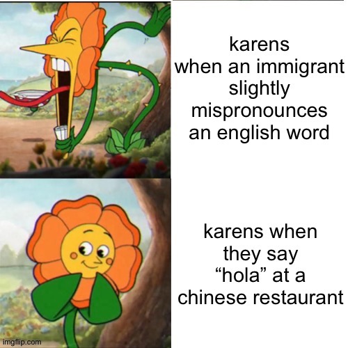holy raci- “DID YOU JUST CALL ME THAT, UNBELIEVABLE!!” | image tagged in karens,cuphead flower,i hate knitters | made w/ Imgflip meme maker