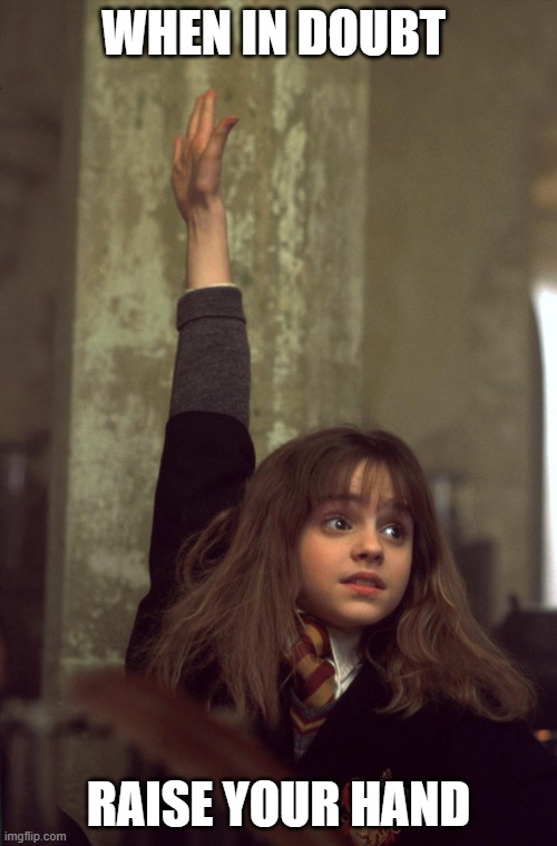 Hermionephobia | WHEN IN DOUBT; RAISE YOUR HAND | image tagged in harry potter nerd | made w/ Imgflip meme maker
