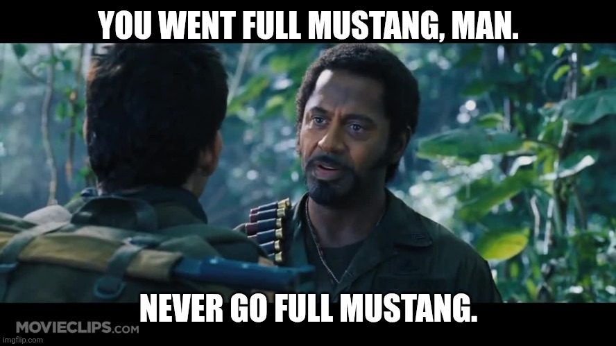 Full R | YOU WENT FULL MUSTANG, MAN. NEVER GO FULL MUSTANG. | image tagged in full r | made w/ Imgflip meme maker