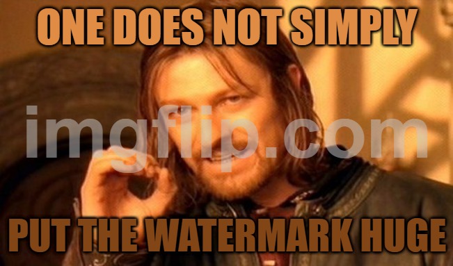 no | ONE DOES NOT SIMPLY; PUT THE WATERMARK HUGE | image tagged in memes,one does not simply,funny,fun,lolz,stop reading the tags | made w/ Imgflip meme maker