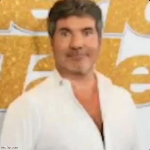 the twat | image tagged in the twat | made w/ Imgflip meme maker