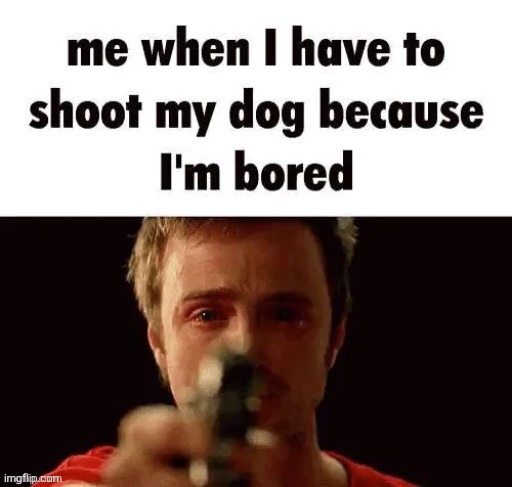 Shoot my dog | image tagged in shoot my dog | made w/ Imgflip meme maker