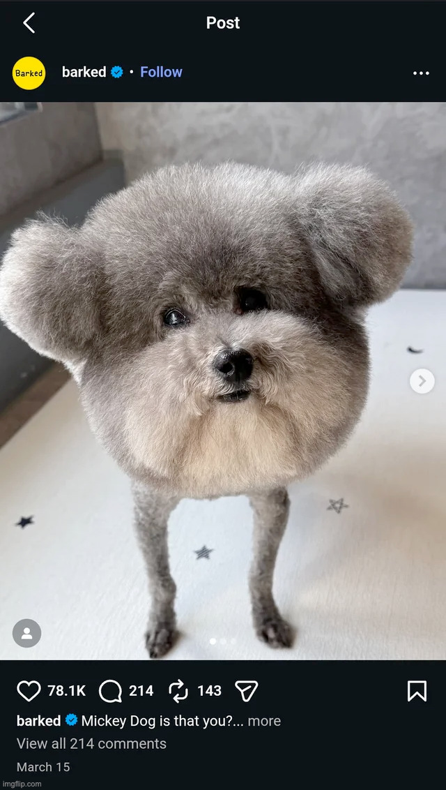 a second image of the dog exists | made w/ Imgflip meme maker