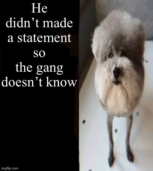 he made a statement blank | He didn’t made a statement so the gang doesn’t know | image tagged in he made a statement blank | made w/ Imgflip meme maker