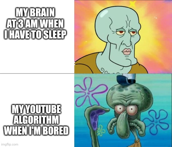 My YouTube algorithm sucks | MY BRAIN AT 3 AM WHEN I HAVE TO SLEEP; MY YOUTUBE ALGORITHM WHEN I'M BORED | image tagged in handsome squidward vs ugly squidward | made w/ Imgflip meme maker