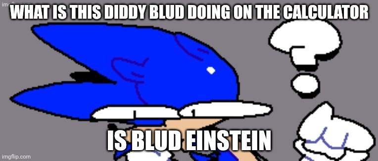 huh? | WHAT IS THIS DIDDY BLUD DOING ON THE CALCULATOR; IS BLUD EINSTEIN | image tagged in huh | made w/ Imgflip meme maker