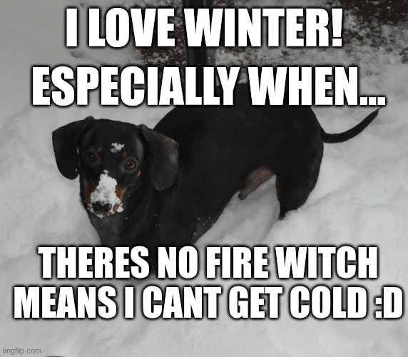 cute memes when you are sad :] | I LOVE WINTER! ESPECIALLY WHEN... THERES NO FIRE WITCH MEANS I CANT GET COLD :D | image tagged in frankie the dachsund winter | made w/ Imgflip meme maker