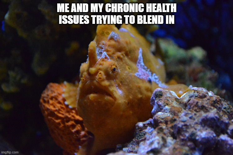 Chronic Illness Truths | ME AND MY CHRONIC HEALTH ISSUES TRYING TO BLEND IN | image tagged in funny memes,so true | made w/ Imgflip meme maker