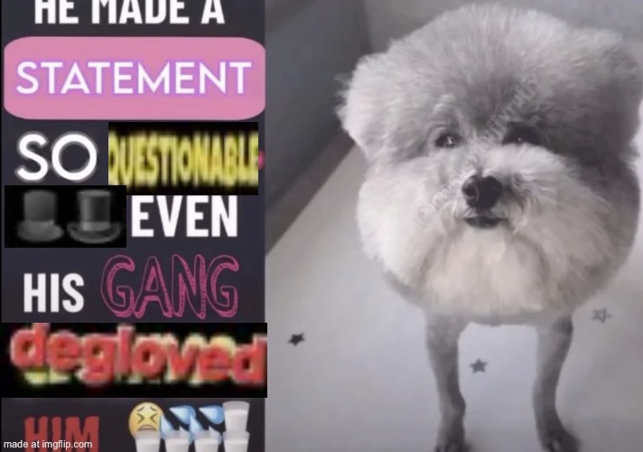 he made a statement so goodd~ even his gang gooned with him | image tagged in he made a statement so goodd even his gang gooned with him | made w/ Imgflip meme maker