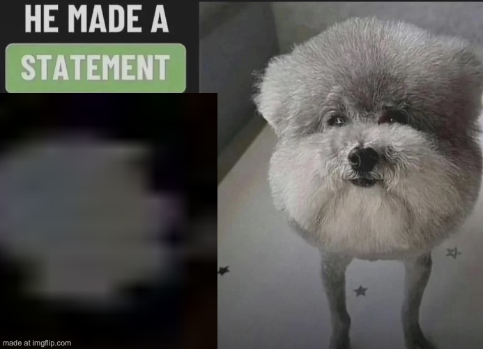 He made a statement blank | image tagged in he made a statement blank | made w/ Imgflip meme maker