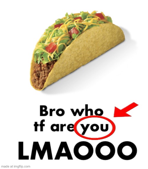 Bro who tf are you | image tagged in bro who tf are you | made w/ Imgflip meme maker