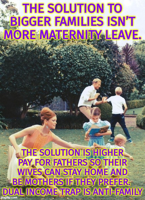 The Bigger Family solution is higher pay for fathers so their wives can stay home and be mothers, if they prefer | THE SOLUTION TO BIGGER FAMILIES ISN’T MORE MATERNITY LEAVE. THE SOLUTION IS HIGHER PAY FOR FATHERS SO THEIR WIVES CAN STAY HOME AND BE MOTHERS IF THEY PREFER. 
DUAL INCOME TRAP IS ANTI-FAMILY | image tagged in family,motherhood,fatherhood,stability,work life,maternity leave | made w/ Imgflip meme maker
