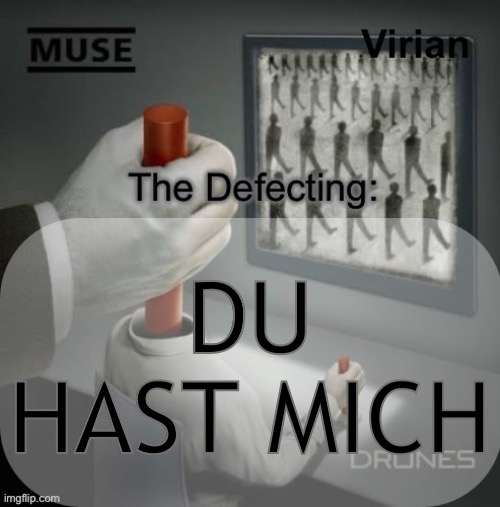Js in a Rammstein mood rn | DU HAST MICH | image tagged in virian drones temp | made w/ Imgflip meme maker
