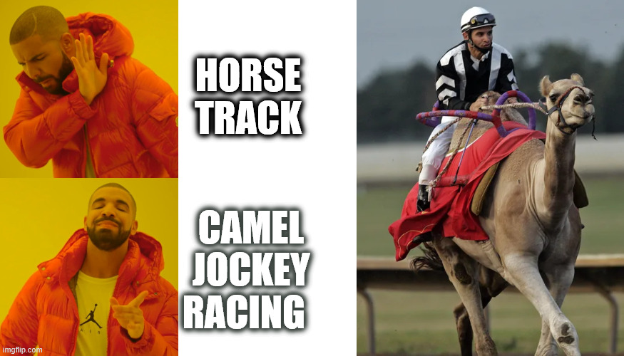 HORSE TRACK CAMEL JOCKEY RACING | image tagged in memes,drake hotline bling | made w/ Imgflip meme maker