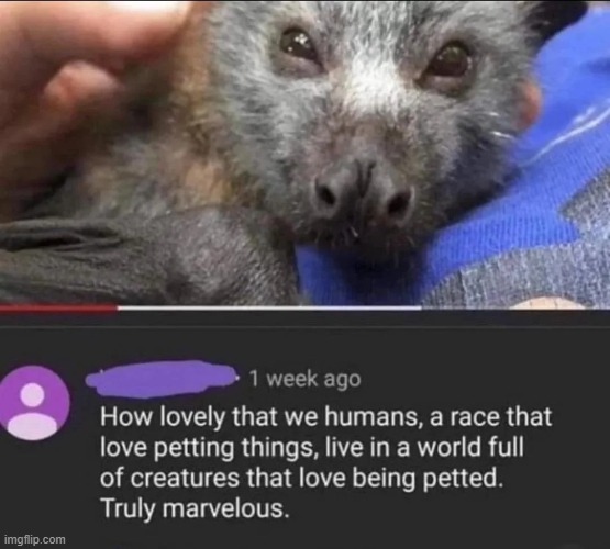 hopeposting | made w/ Imgflip meme maker