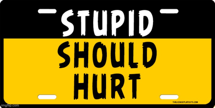 Stupidity should hurt | image tagged in stupidity should hurt | made w/ Imgflip meme maker
