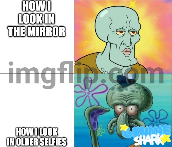 And that's why I don't take selfies | HOW I LOOK IN THE MIRROR; HOW I LOOK IN OLDER SELFIES | image tagged in handsome squidward vs ugly squidward,mirror,relatable,selfies,memes,funny | made w/ Imgflip meme maker