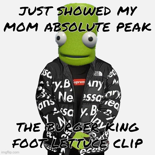 i said "number 15" and she had no idea what I was talking about so I had to show her | just showed my mom absolute peak; the burger king foot lettuce clip | image tagged in epilektoi drip | made w/ Imgflip meme maker