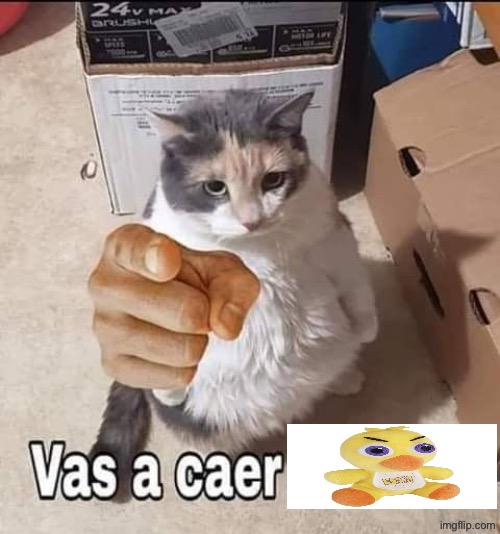 Vas a Caer | image tagged in vas a caer | made w/ Imgflip meme maker