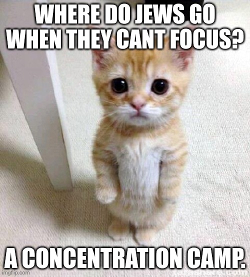 Cute Cat | WHERE DO JEWS GO WHEN THEY CANT FOCUS? A CONCENTRATION CAMP. | image tagged in memes,cute cat | made w/ Imgflip meme maker