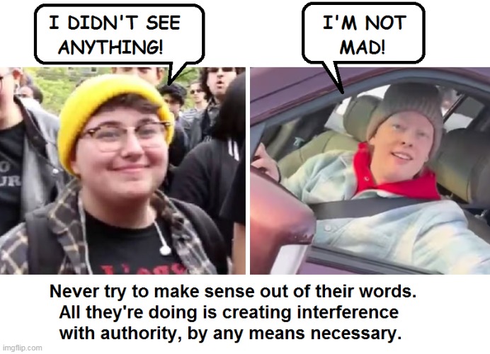 Leftists blocking authority | image tagged in leftists,democrats,news | made w/ Imgflip meme maker