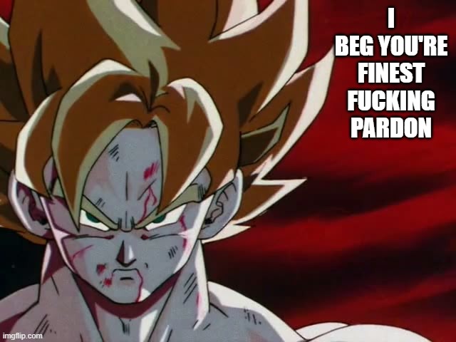 say it i dare you | I BEG YOU'RE FINEST FUCKING PARDON | image tagged in goku,dbz,super saiyan | made w/ Imgflip meme maker