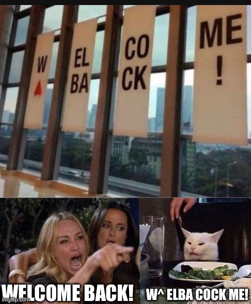 W^ ELBA COCK ME! WELCOME BACK! | image tagged in woman yelling at cat,star trek,funny memes,memes,wow,please upvote i need serious help | made w/ Imgflip meme maker