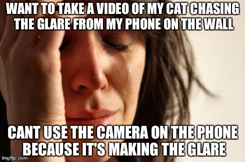 First World Problems Meme | WANT TO TAKE A VIDEO OF MY CAT CHASING THE GLARE FROM MY PHONE ON THE WALL CANT USE THE CAMERA ON THE PHONE BECAUSE IT'S MAKING THE GLARE | image tagged in memes,first world problems | made w/ Imgflip meme maker