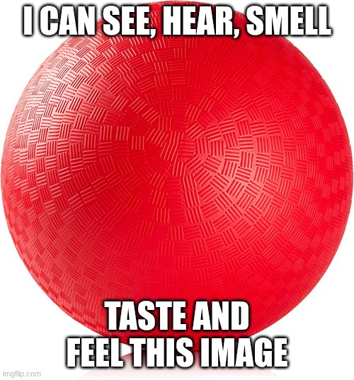 dodgeball | I CAN SEE, HEAR, SMELL; TASTE AND FEEL THIS IMAGE | image tagged in red rubber dodgeball,you have been eternally cursed for reading the tags | made w/ Imgflip meme maker