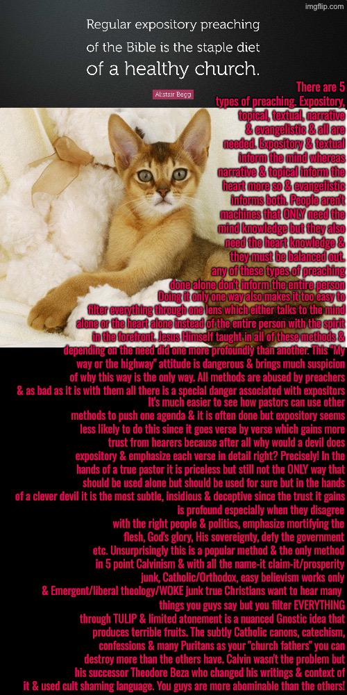 No not ONLY expository! All types of preaching is needed to inform our whole being | image tagged in calvinism,calvinist memes,anti calvinism,reformed theology,all forms not just one,alistair begg | made w/ Imgflip meme maker