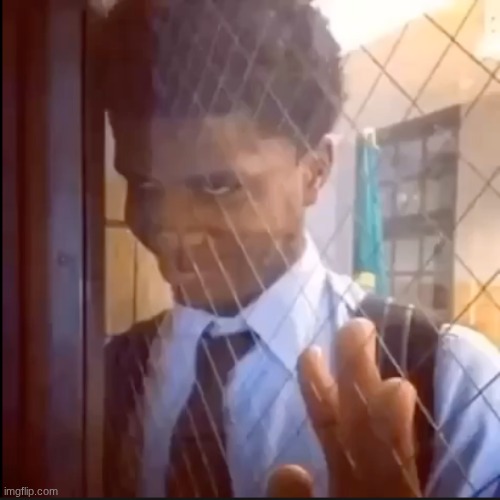 The look | image tagged in the look | made w/ Imgflip meme maker