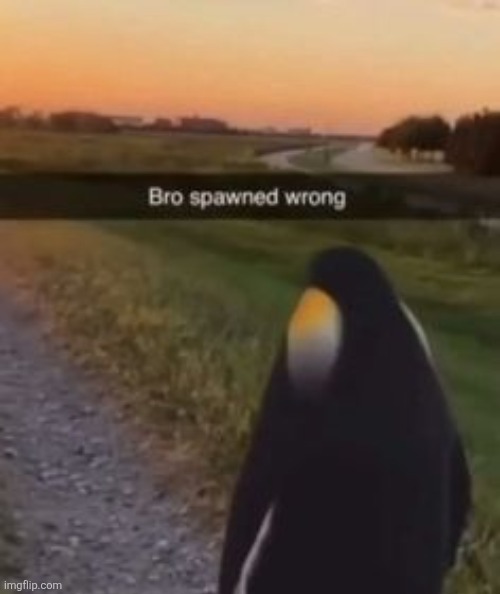 Bro spawned wrong | made w/ Imgflip meme maker