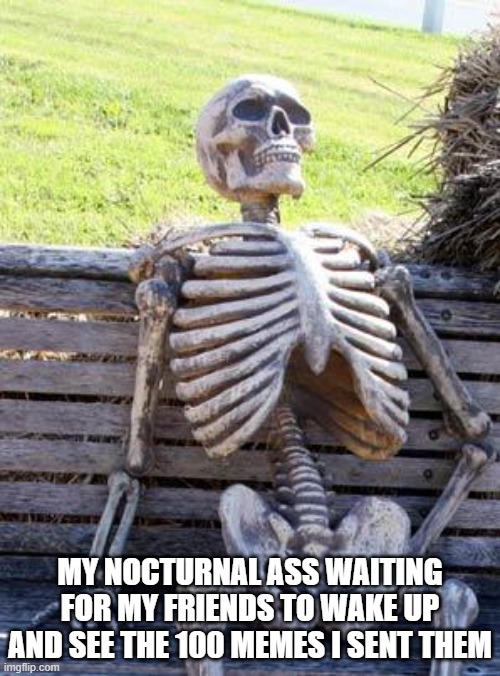 Waiting Skeleton Meme | MY NOCTURNAL ASS WAITING FOR MY FRIENDS TO WAKE UP AND SEE THE 100 MEMES I SENT THEM | image tagged in memes,waiting skeleton | made w/ Imgflip meme maker