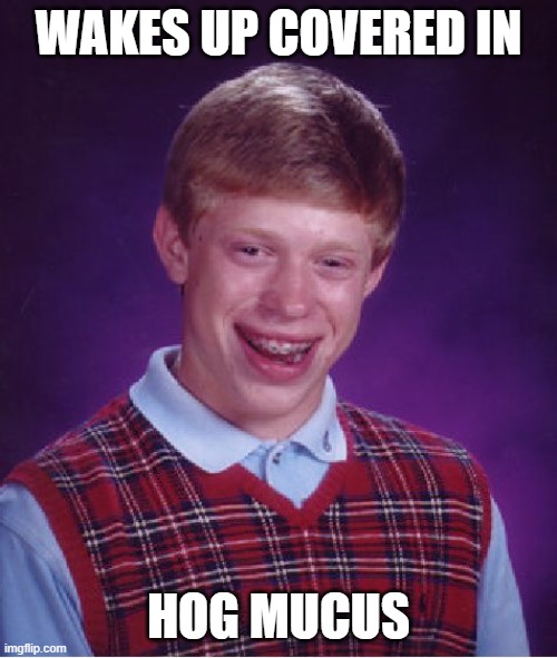 hog muscus meme | WAKES UP COVERED IN; HOG MUCUS | image tagged in memes,bad luck brian | made w/ Imgflip meme maker