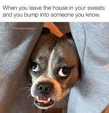 Day 3 of posting what Google Images considers a good meme. | made w/ Imgflip meme maker