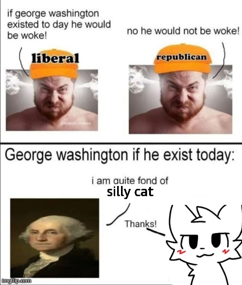 George Washington if he existed today | silly cat | image tagged in george washington if he existed today | made w/ Imgflip meme maker