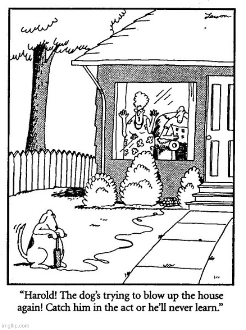 It might be too late this time… | image tagged in the far side,comics,dog,destructive,explosives,teaching moment | made w/ Imgflip meme maker