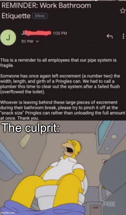 One number 2 job | The culprit: | image tagged in homer simpson toilet,turd,shit,cursed,flush | made w/ Imgflip meme maker