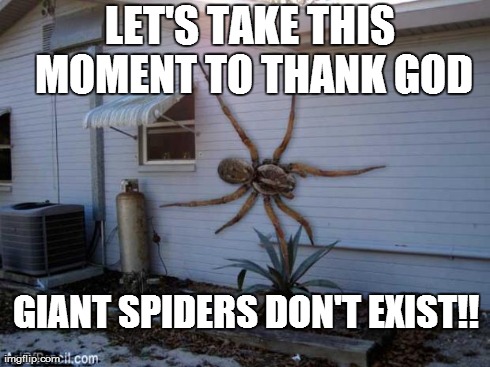 LET'S TAKE THIS MOMENT TO THANK GOD GIANT SPIDERS DON'T EXIST!! | image tagged in giant spiders | made w/ Imgflip meme maker